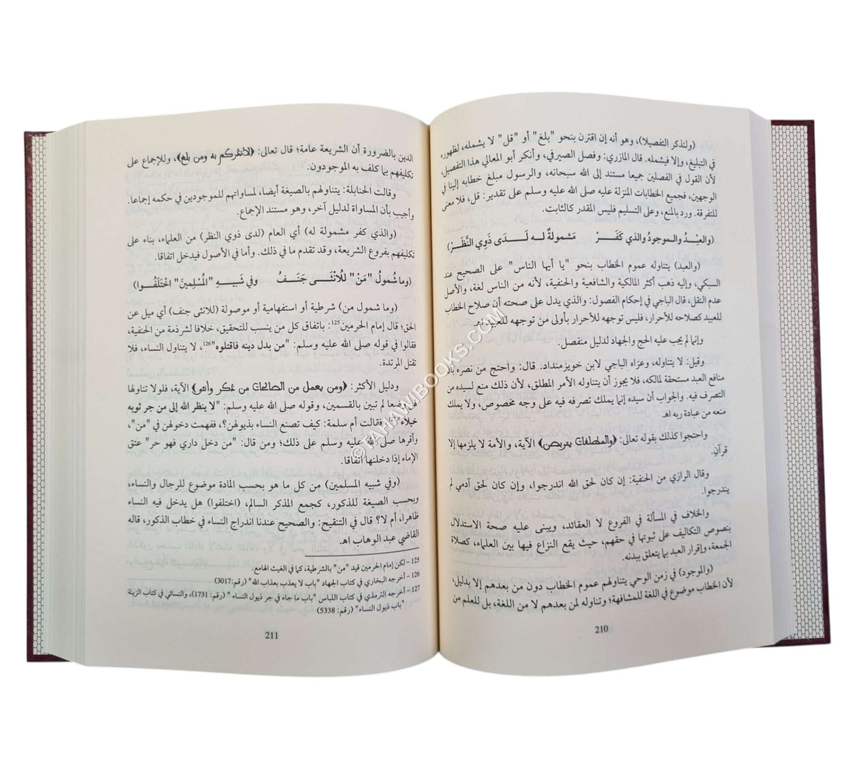تسهيل الصعود إلى مراقي السعود:الشرح الصغير على المراقي