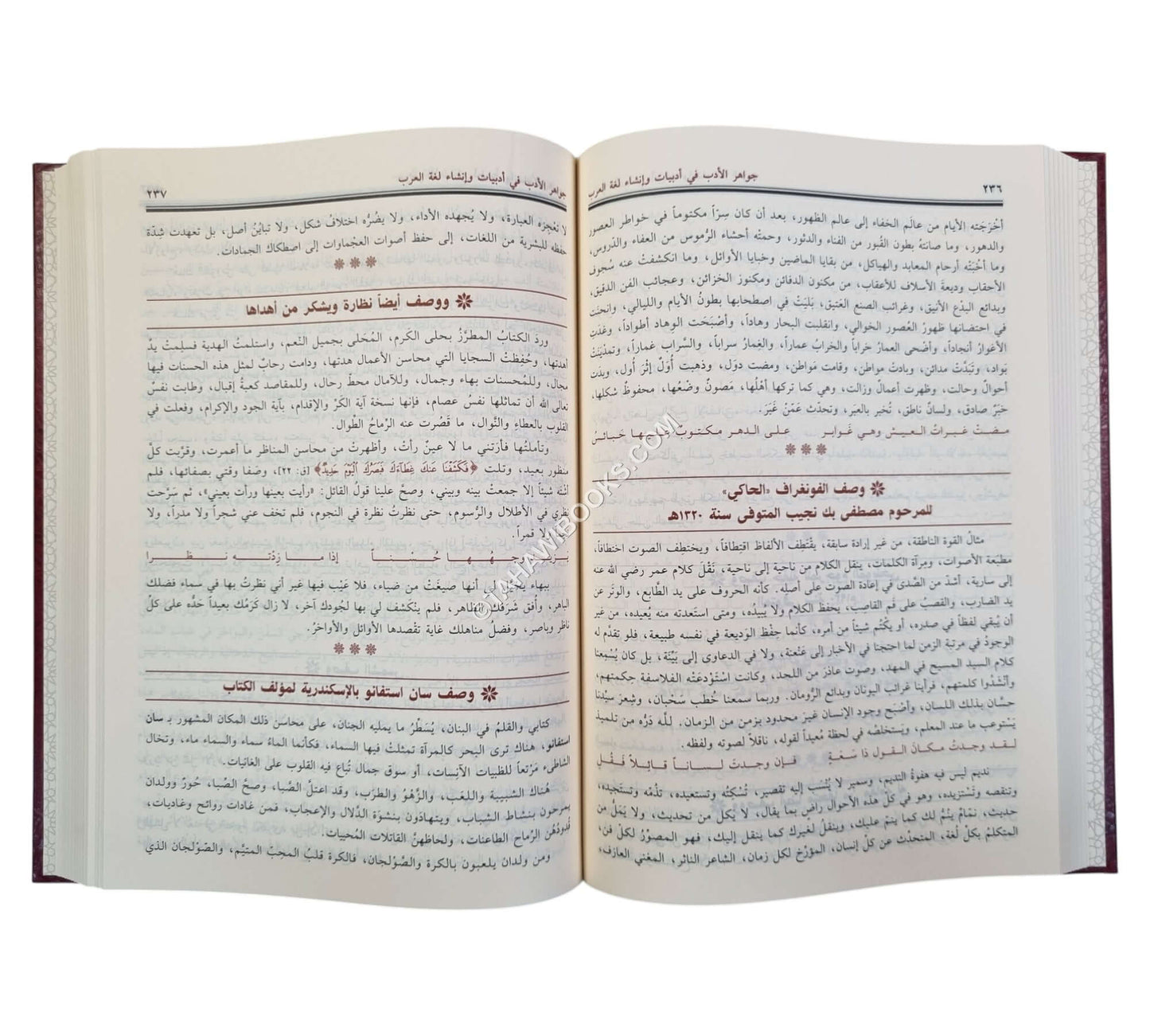 جواهر الأدب في أدبيات وإنشاء لغة العرب-ابن حزم