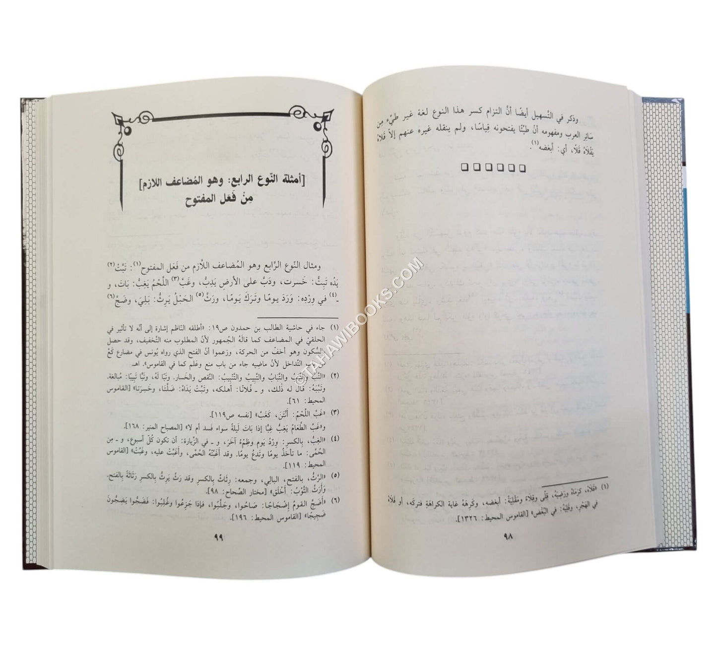 فتح الأقفال وحل الإشكال بشرح لامية الأفعال المشهور بالشرح الكبير-ابن حزم