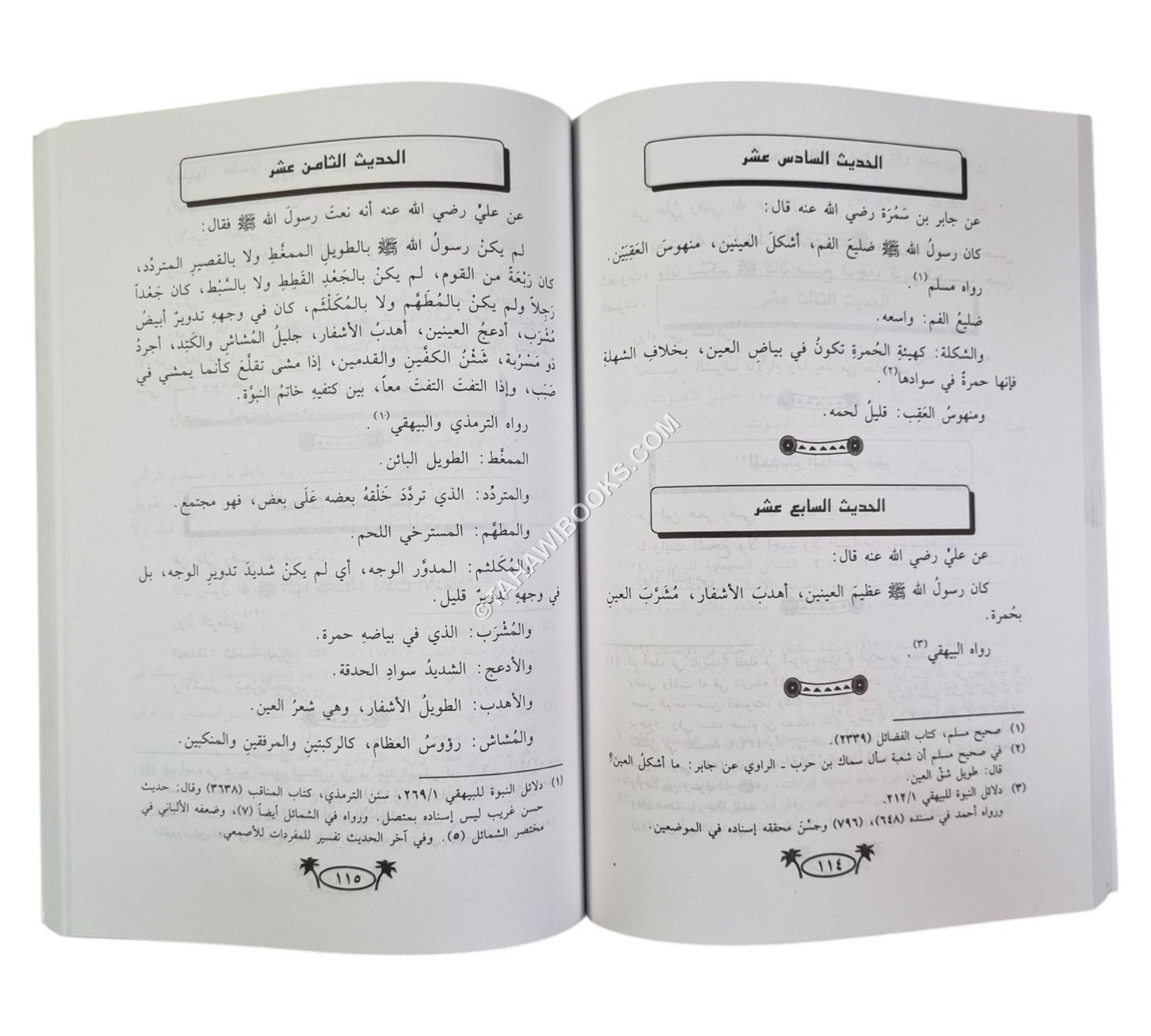 مجموع أربعينات في فضائل رسول الله