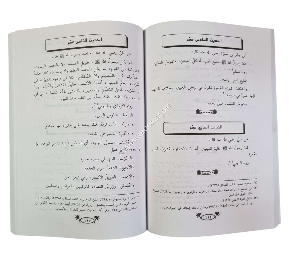 مجموع أربعينات في فضائل رسول الله
