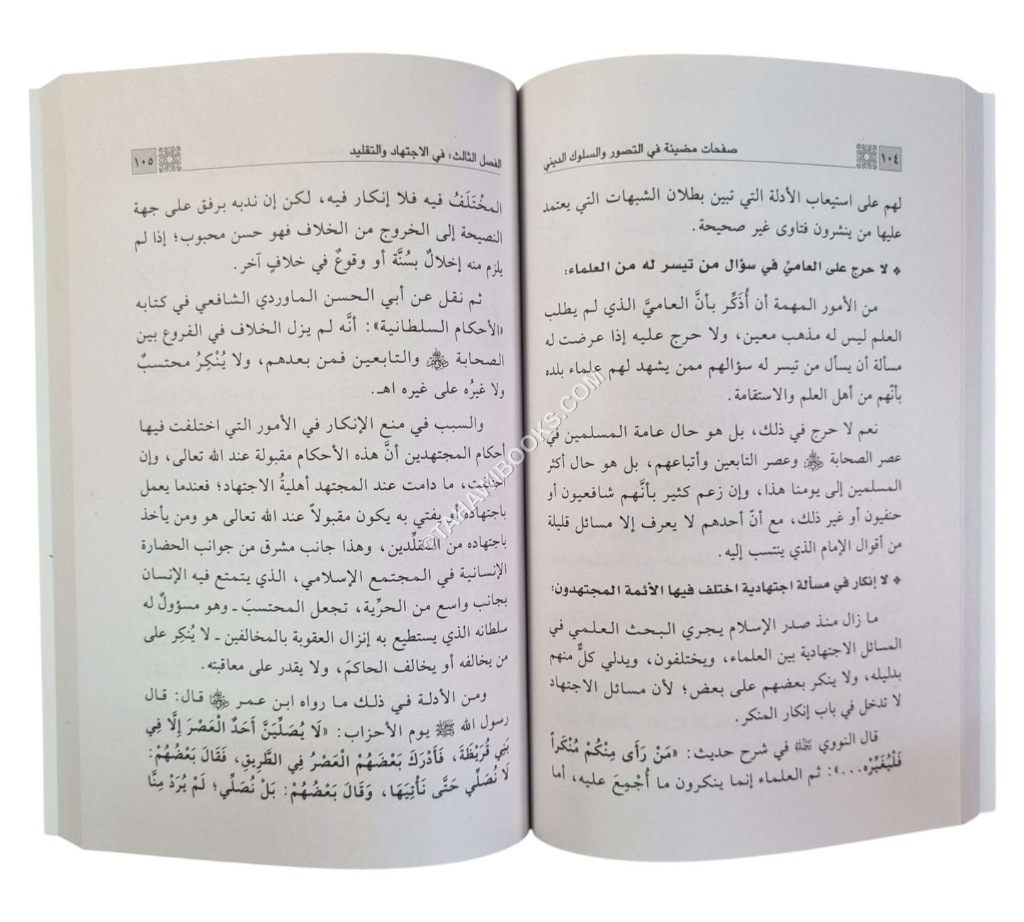 صفحات مضيئة في التصور والسلوك الديني