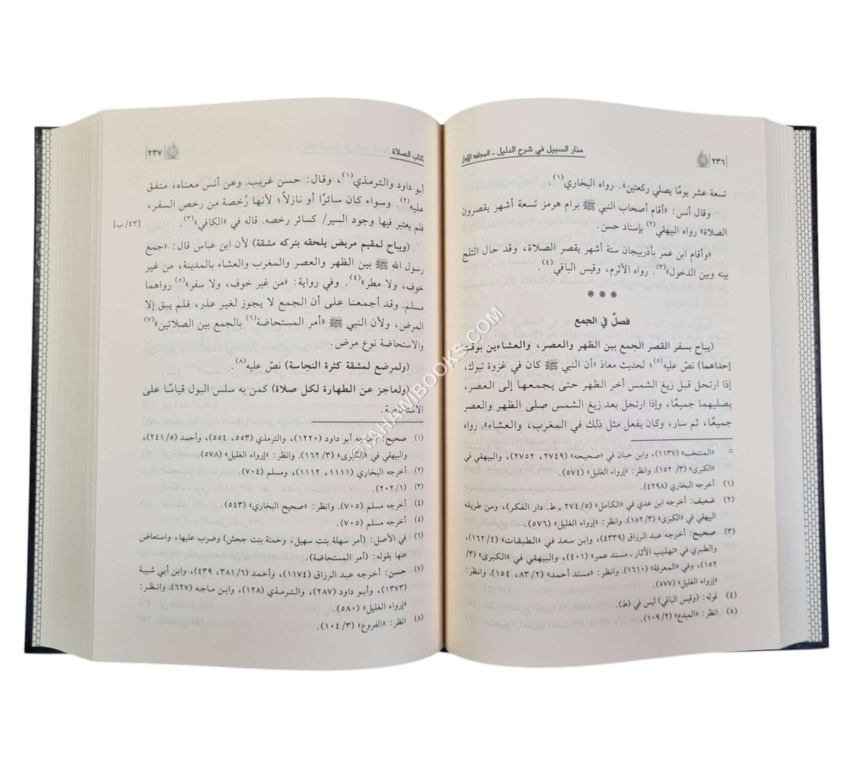 منار السبيل في شرح الدليل