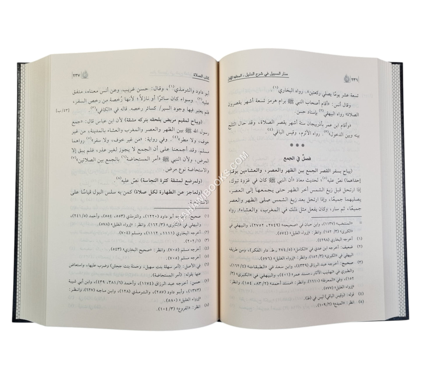 منار السبيل في شرح الدليل