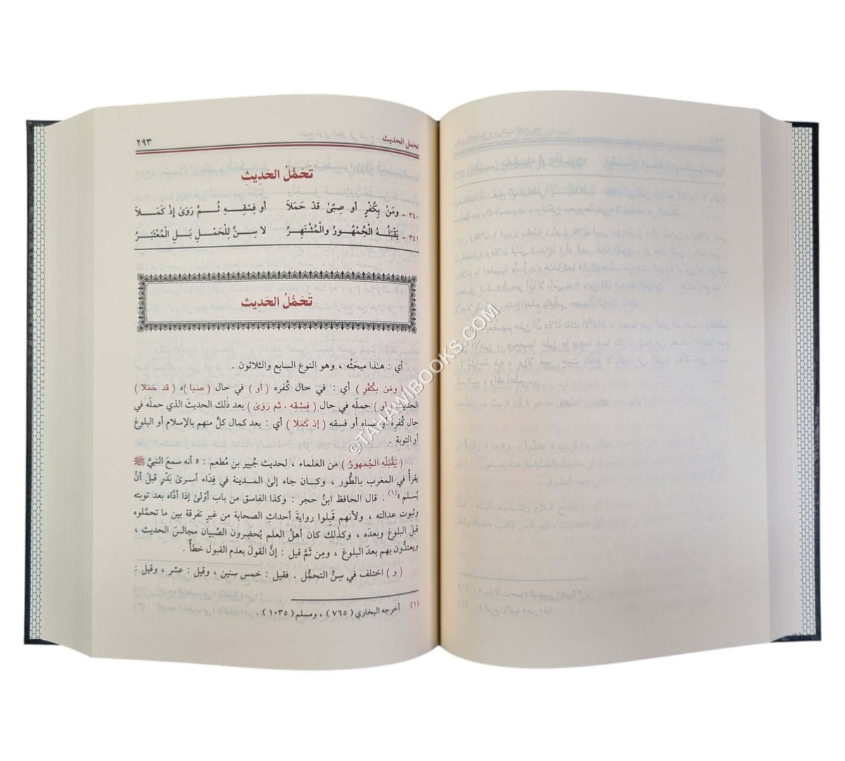 منهج ذوي النظر في شرح منظومة علم الأثر