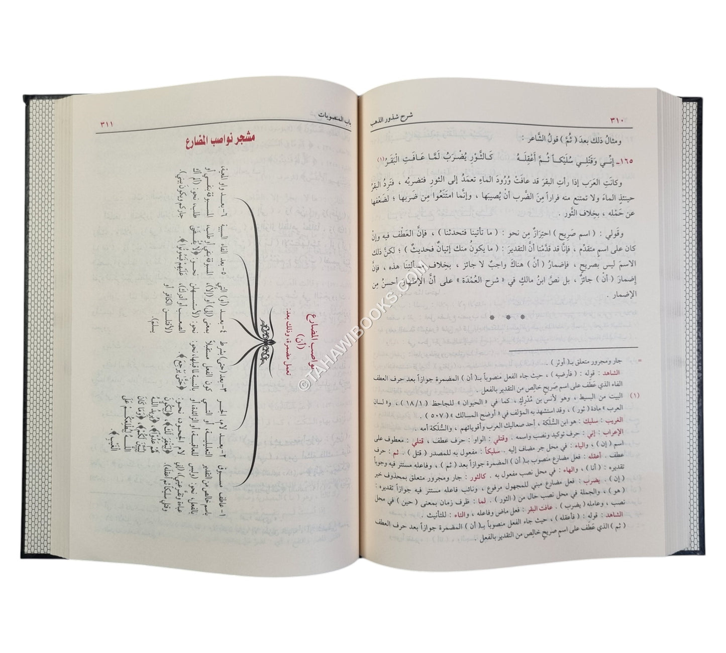 شرح شذور الذهب مع تعليقات منتقاة من محمد محي الدين عبد الحميد-الدقاق