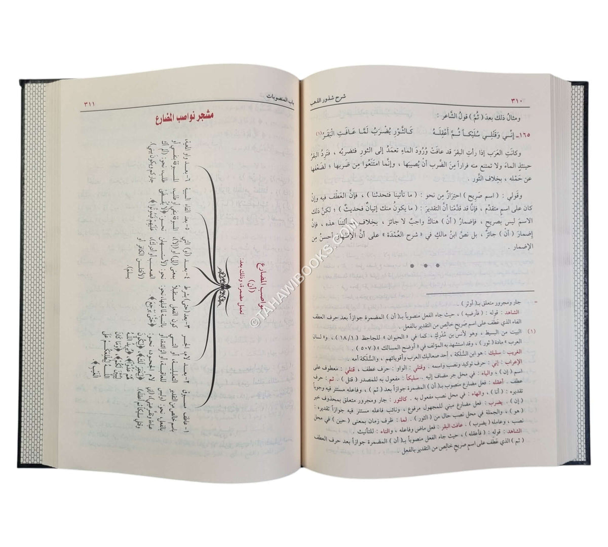 شرح شذور الذهب مع تعليقات منتقاة من محمد محي الدين عبد الحميد-الدقاق