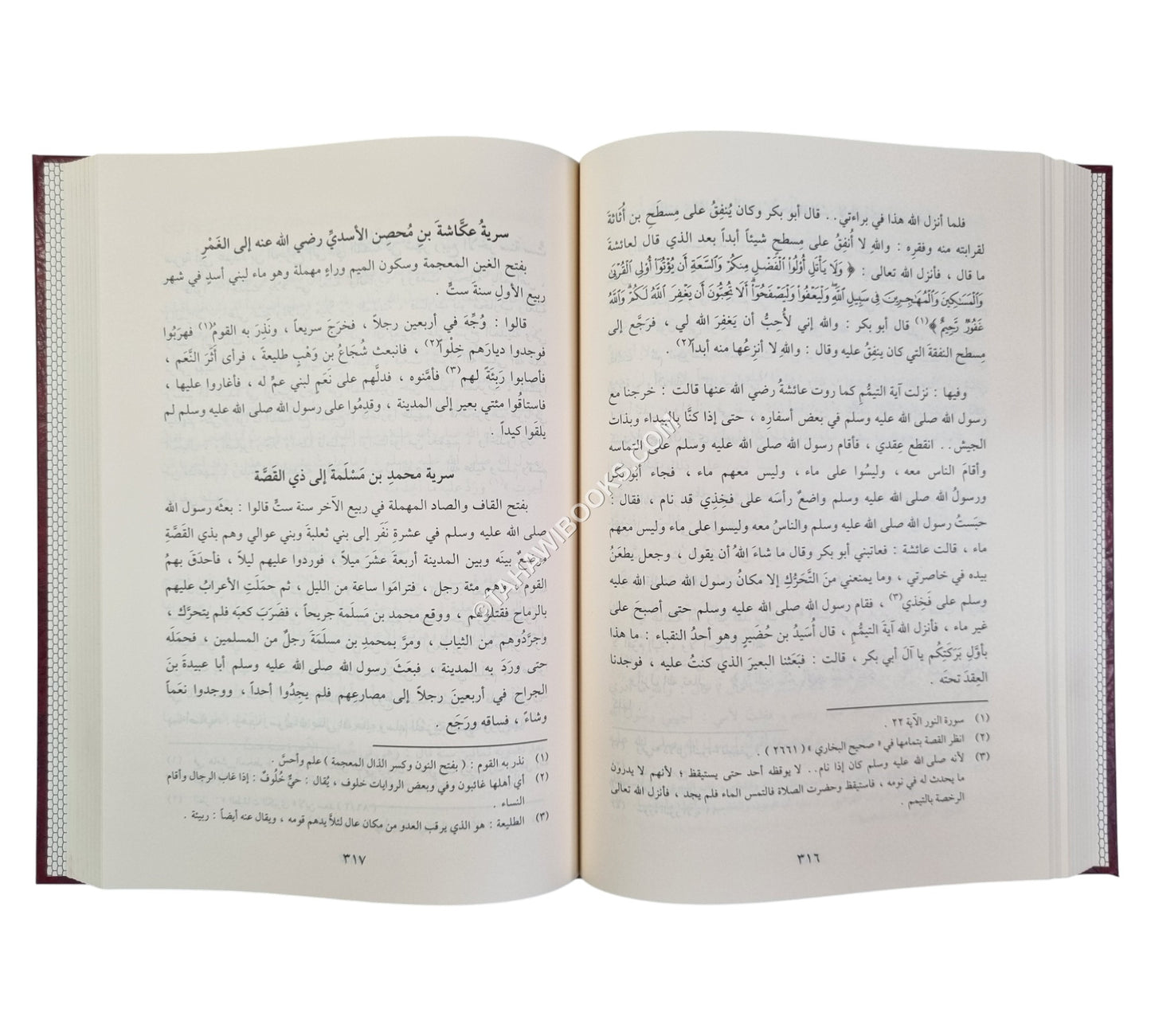 طيب الانفاس في مختصر سيرة ابن سيد الناس
