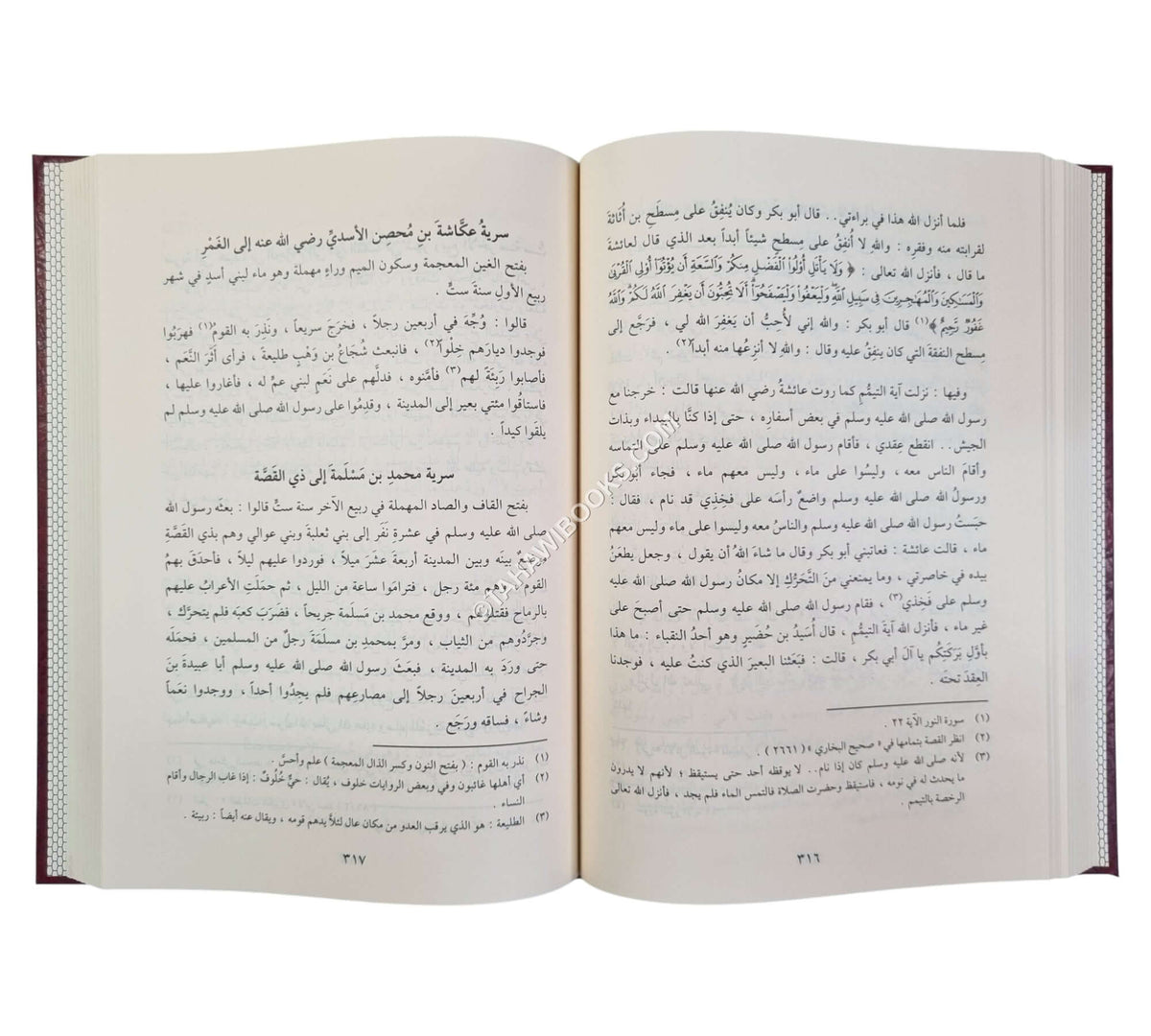 طيب الانفاس في مختصر سيرة ابن سيد الناس