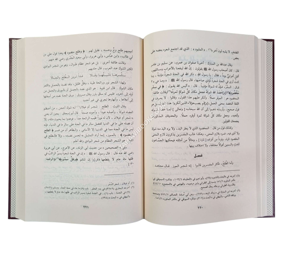 حادي الأرواح إلى بلاد الأفراح-الرسالة