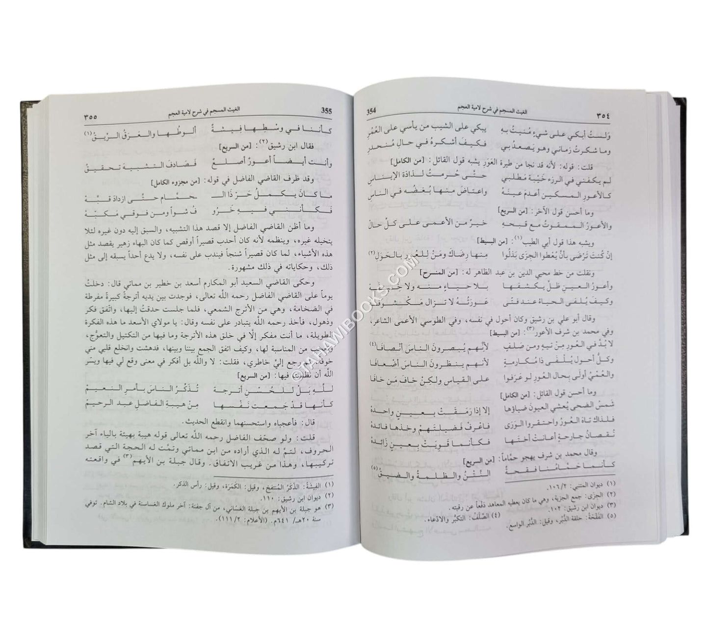 الغيث المسجم في شرح لامية العجم