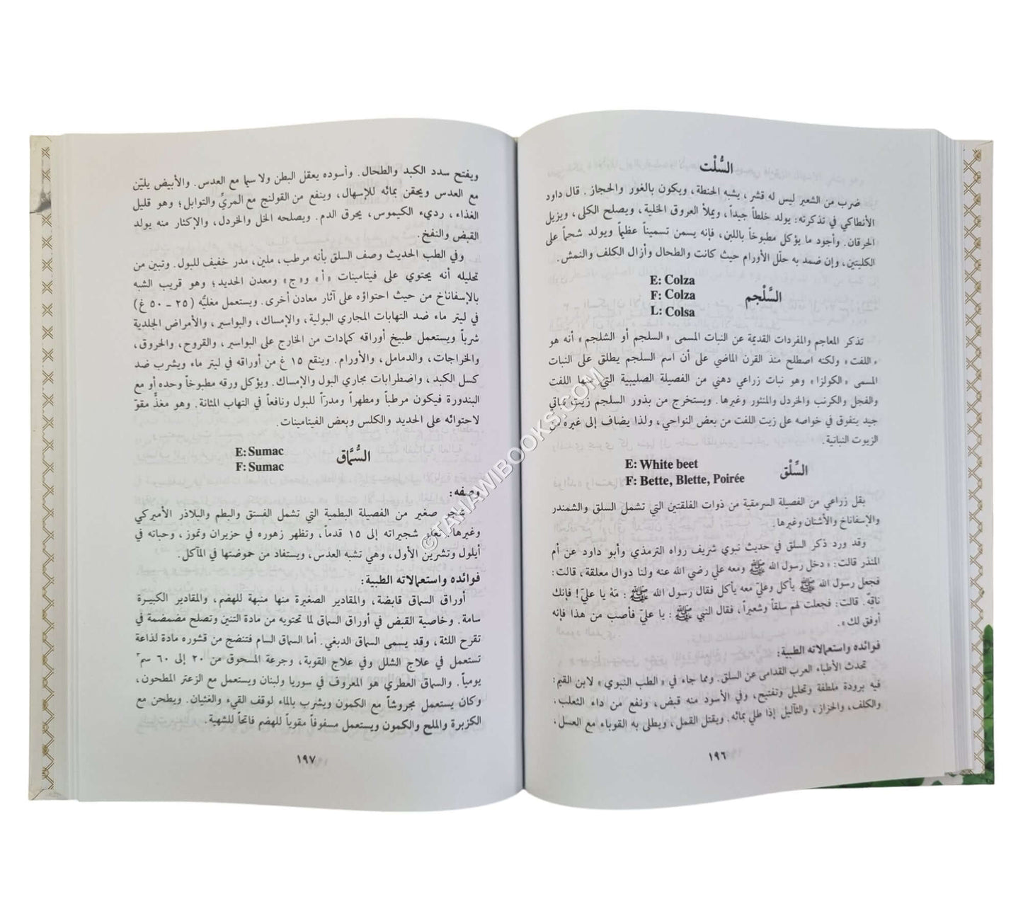 التداوي بالأعشاب والنباتات قديما وحديثا