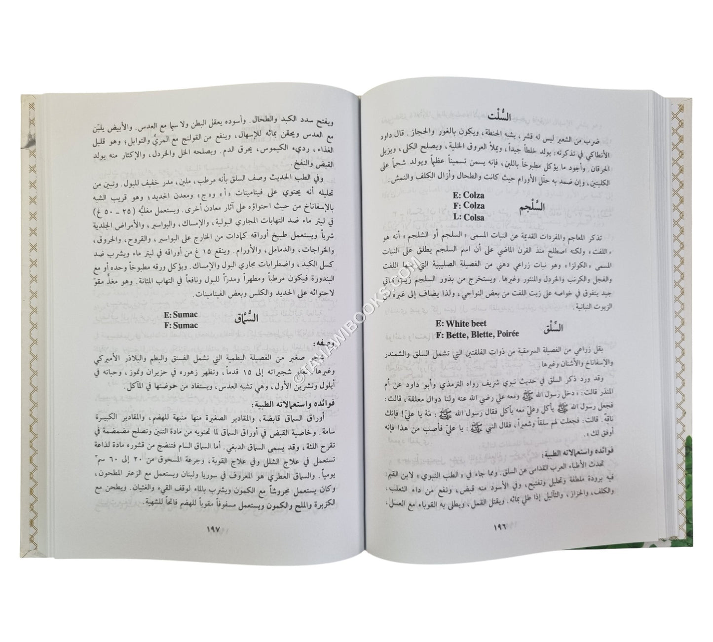 التداوي بالأعشاب والنباتات قديما وحديثا