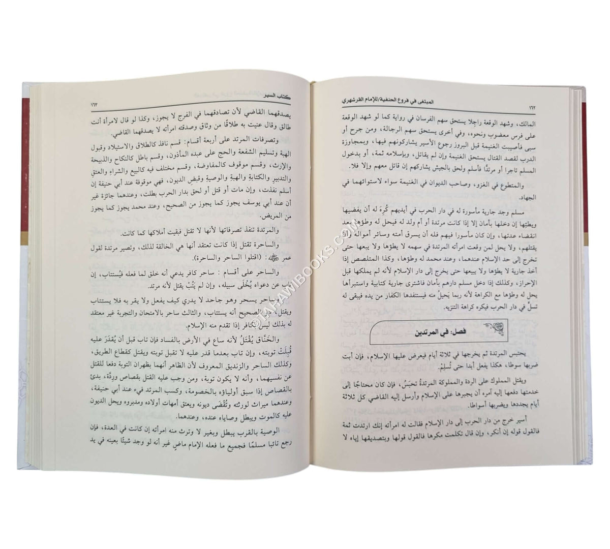 المبتغى في فروع الحنفية