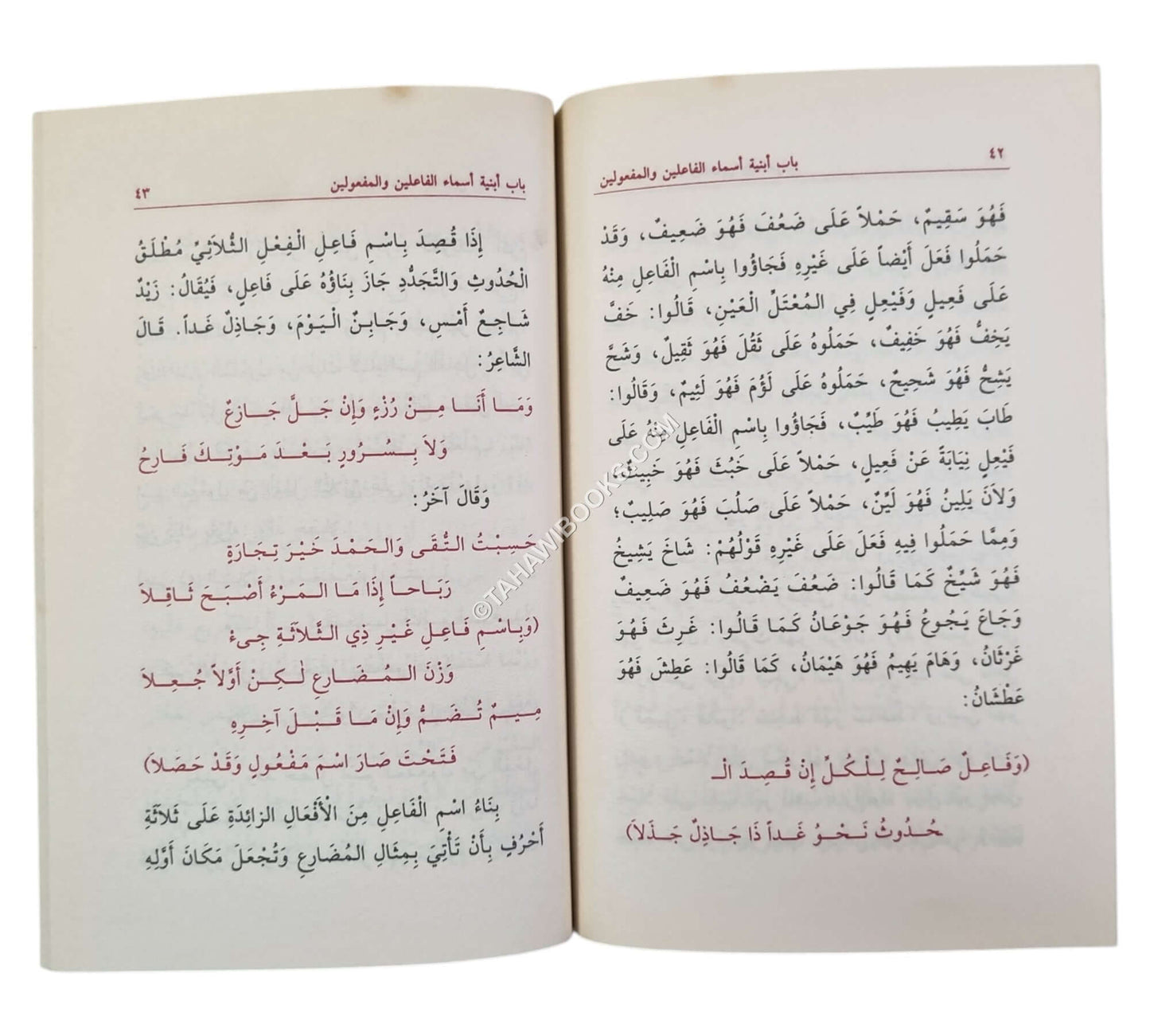 شرح بدر الدين محمد ابن مالك على لامية الأفعال