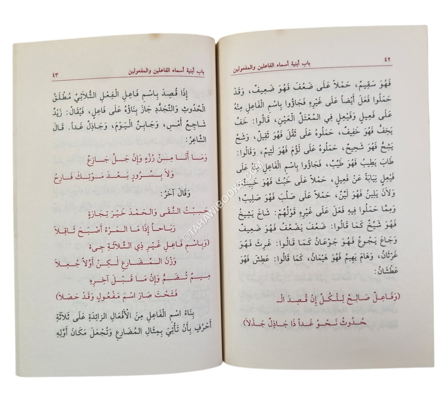 شرح بدر الدين محمد ابن مالك على