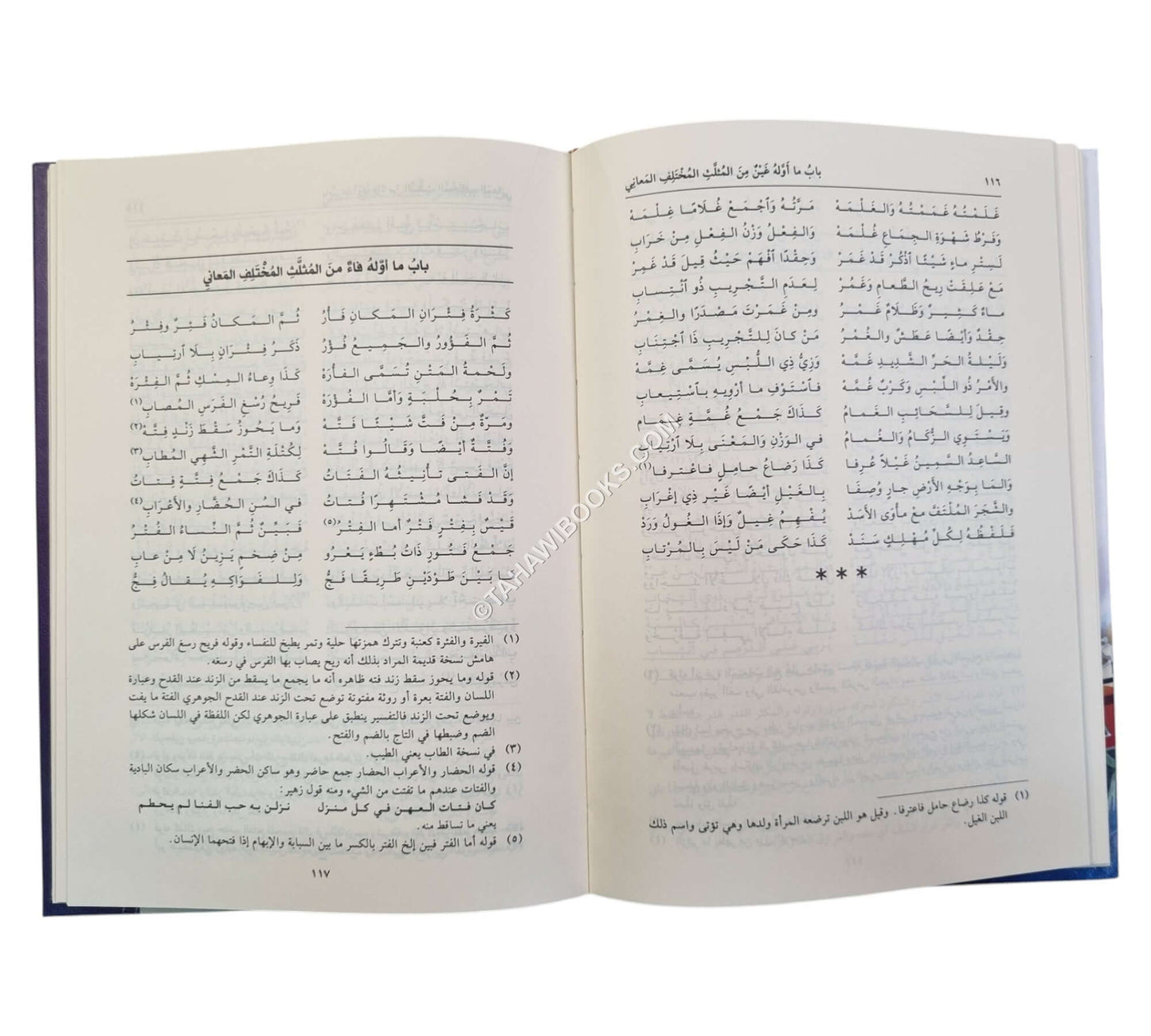 شرح منظومة الإعلام بمثلث الكلام