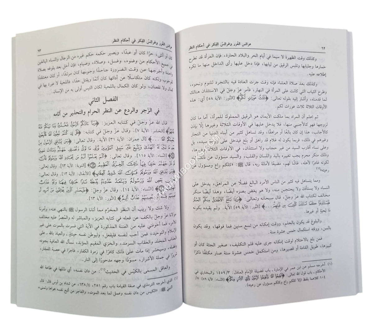 عرائس الغرر وغرائس الفكر في أحكام النظر ويليه أحكام النظر إلى المحرمات ومافيه من الحظر والآفات