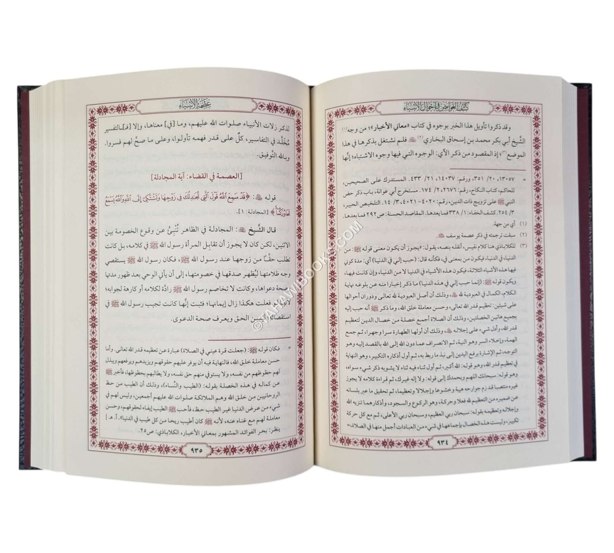 كشف الغوامض في أحوال الأنبياء المسمى عصمة الأنبياء