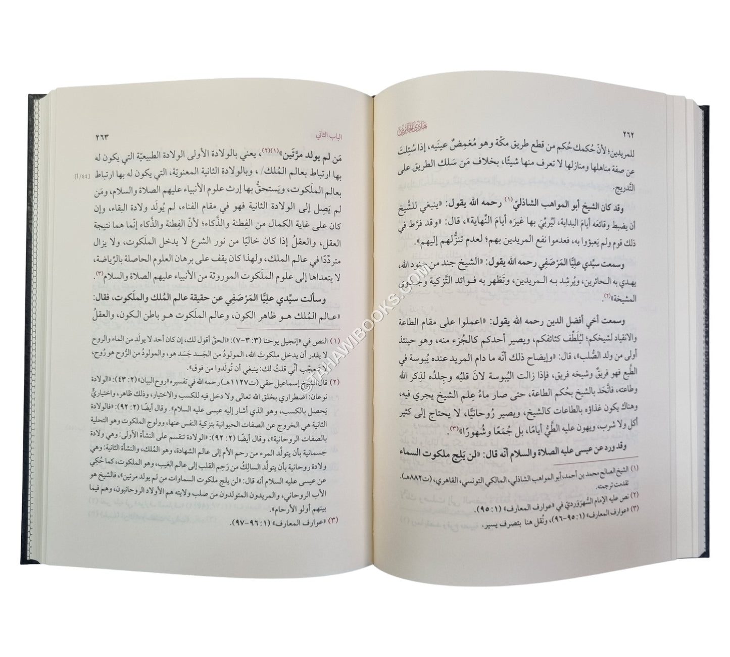 هادي الحائرين إلى رسوم أخلاق العارفين