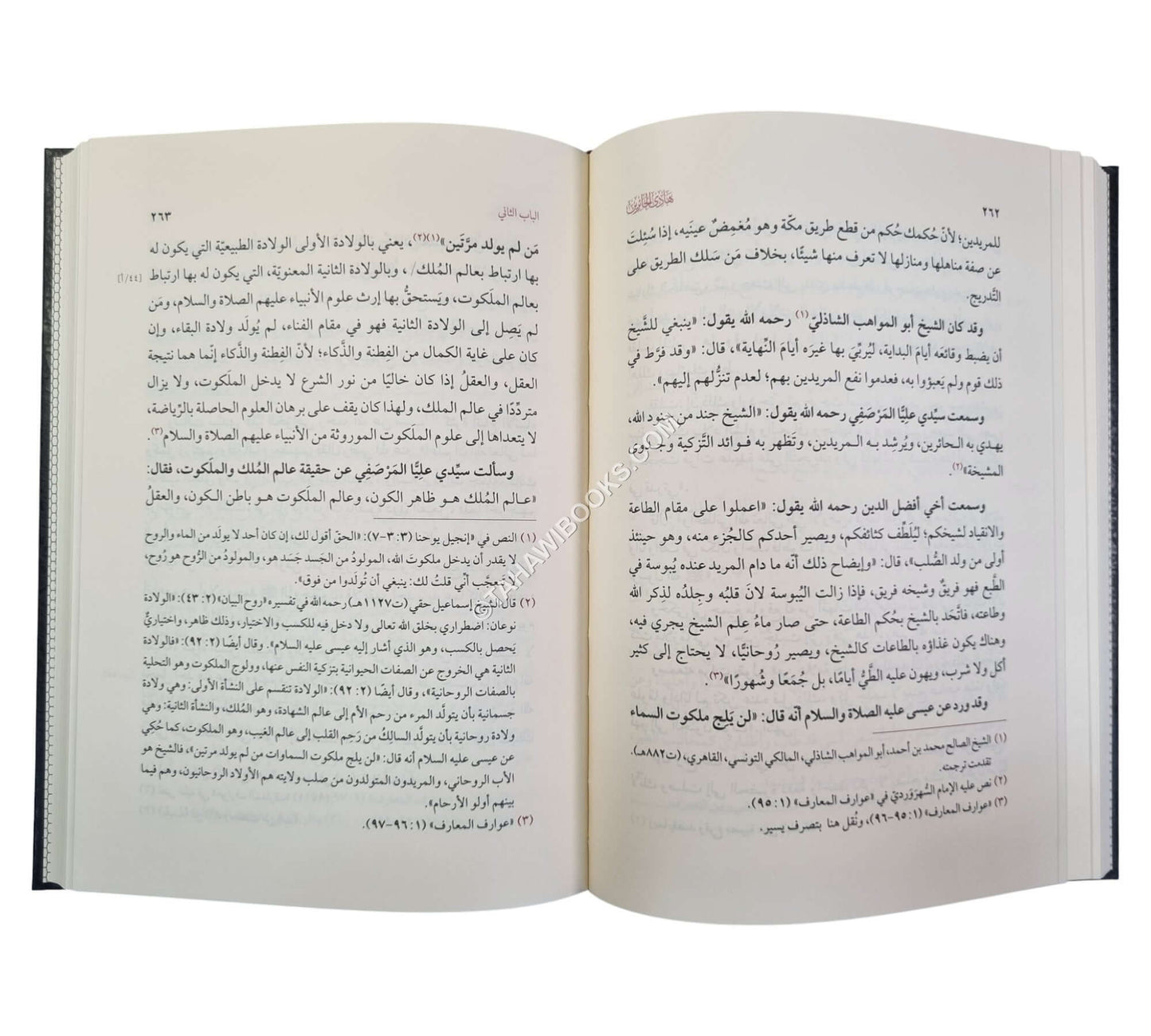 هادي الحائرين إلى رسوم أخلاق العارفين