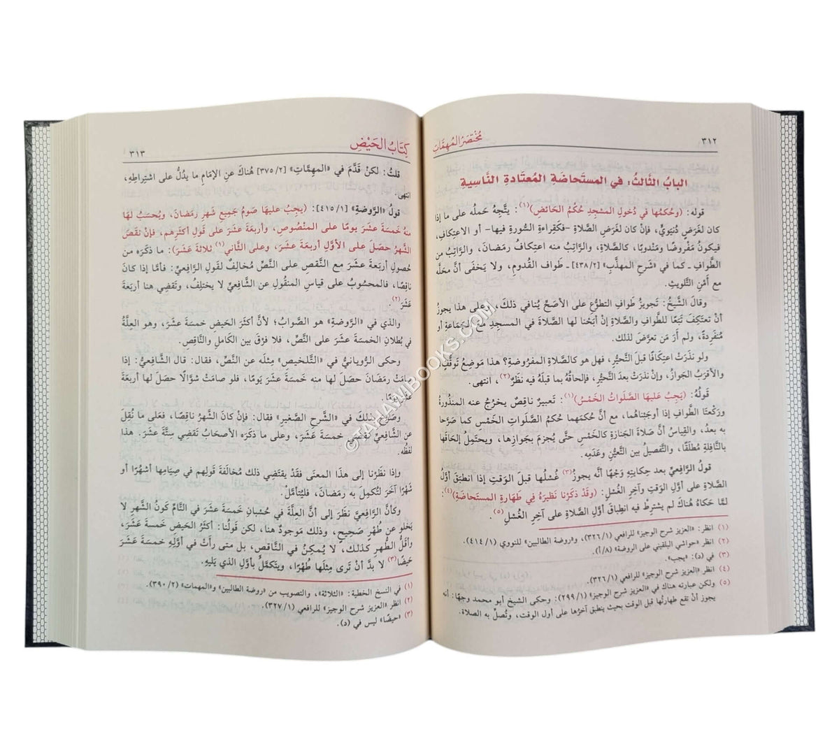 مختصر المهمات