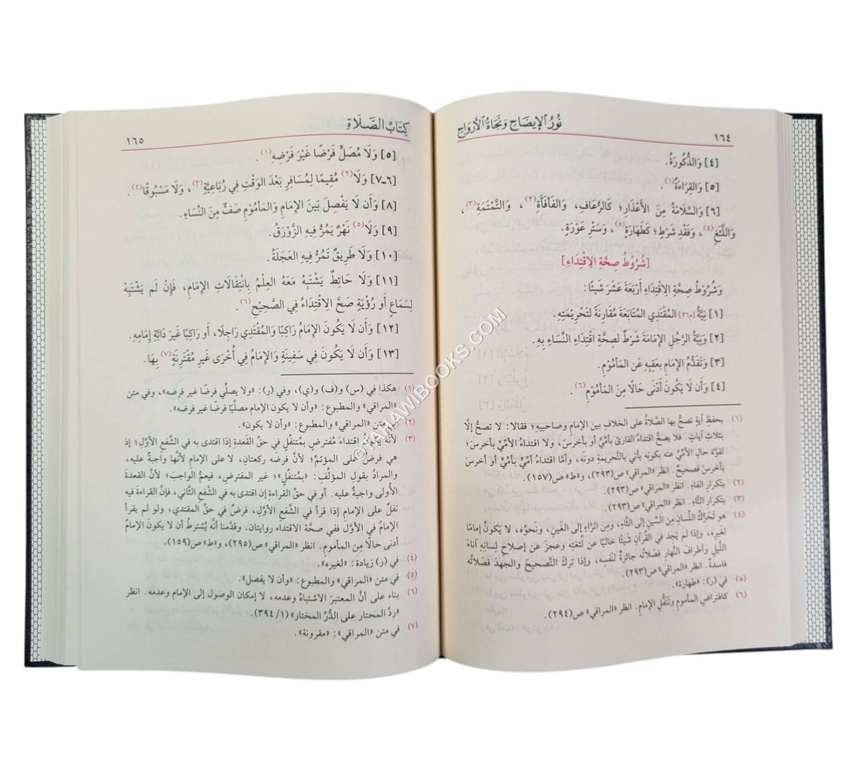 نور الإيضاح و نجاة الأرواح ويليه تذنيب نور الإيضاح-الفيحاء