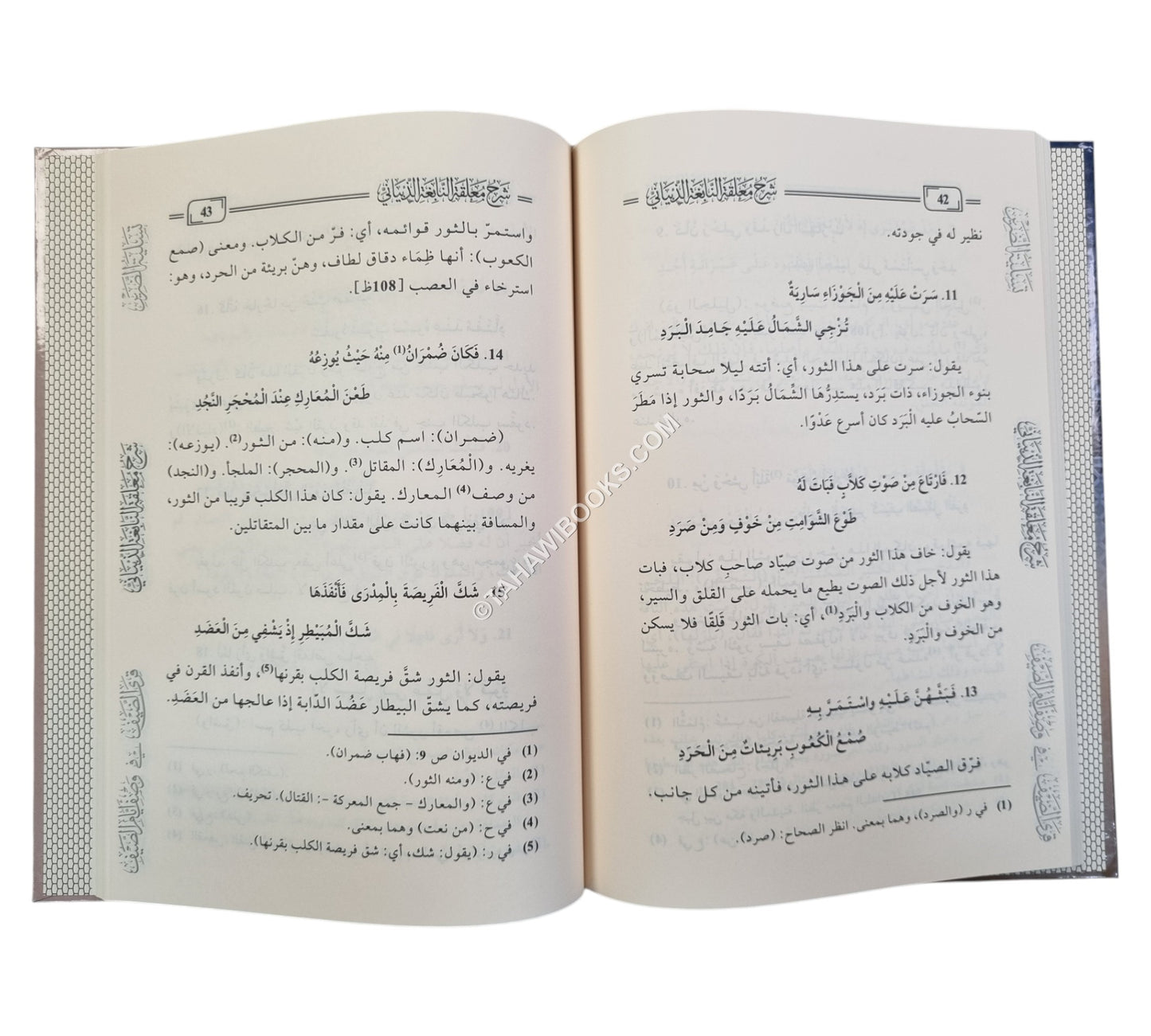 تسلية الضرير ويليه شرح معلقة النابغة الذبياني ويليه قري الالضيف في وصف الصيف