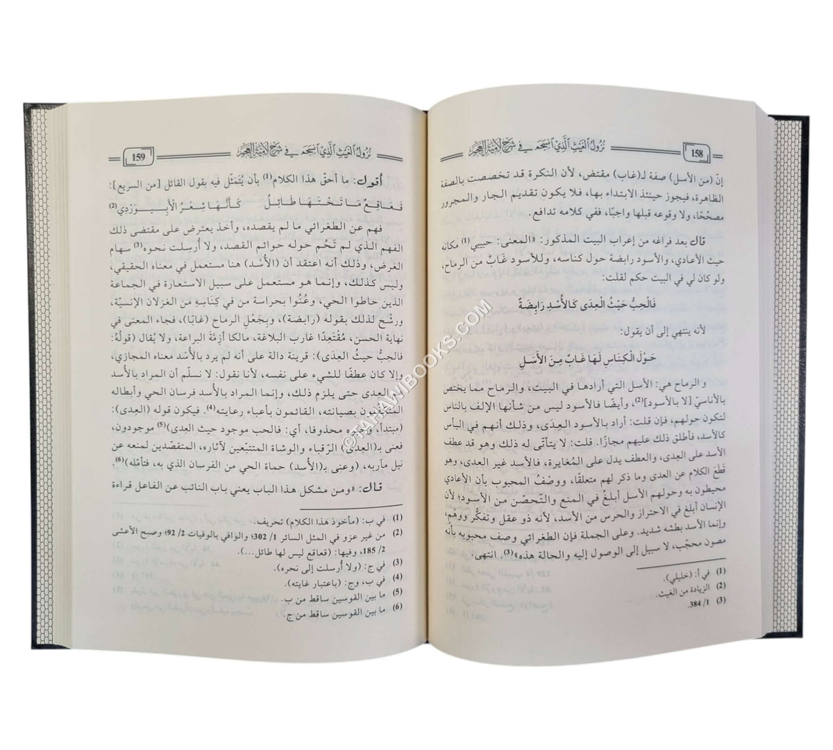 نزول الغيث الذي انسجم في شرح لامية العجم