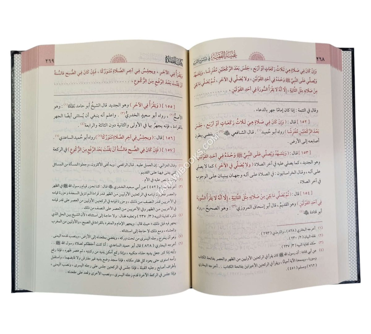 غنية الفقيه في شرح التنبيه