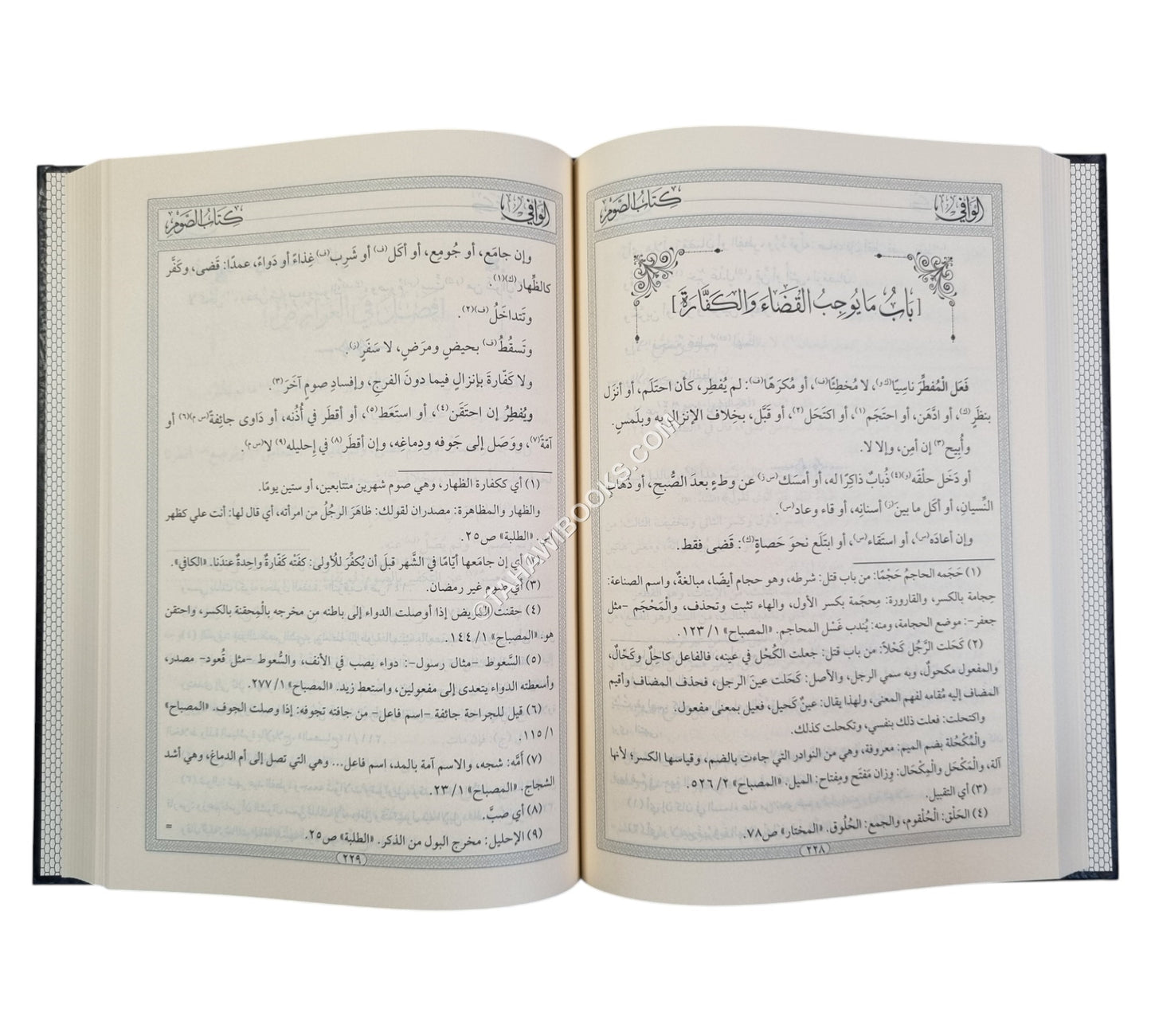 الوافي في فروع الحنفية-المنهاج القويم