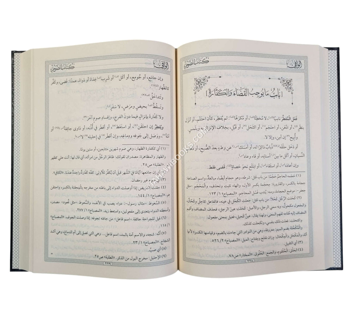 الوافي في فروع الحنفية-المنهاج القويم