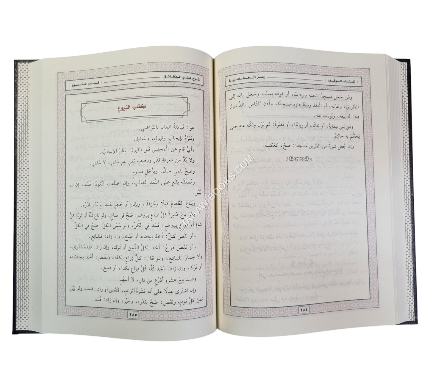رمز الحقائق في شرح كنز الدقائق-المنهاج القويم
