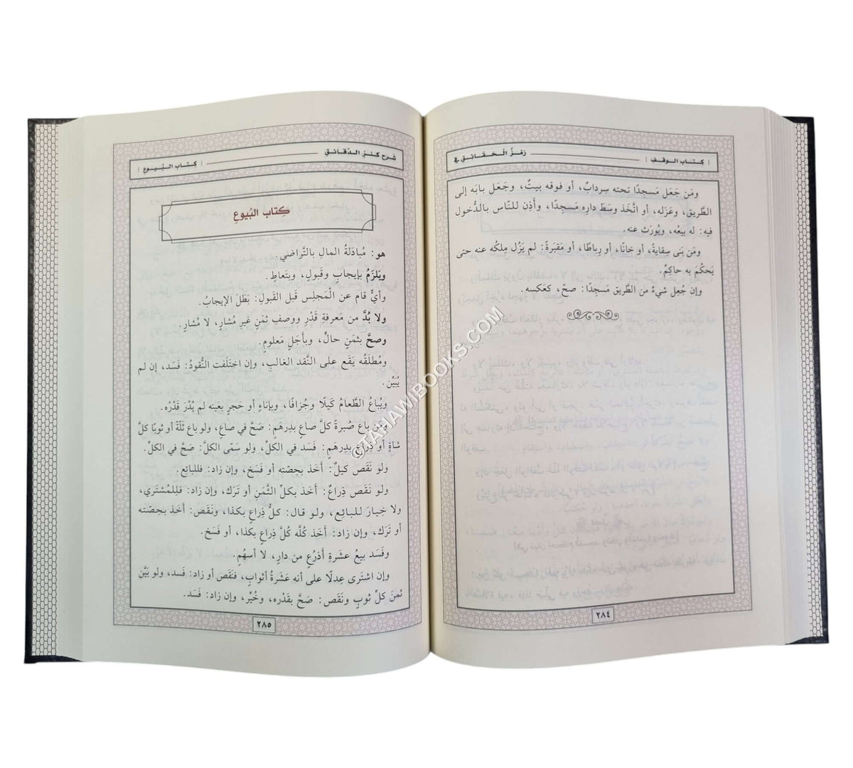 رمز الحقائق في شرح كنز الدقائق-المنهاج القويم