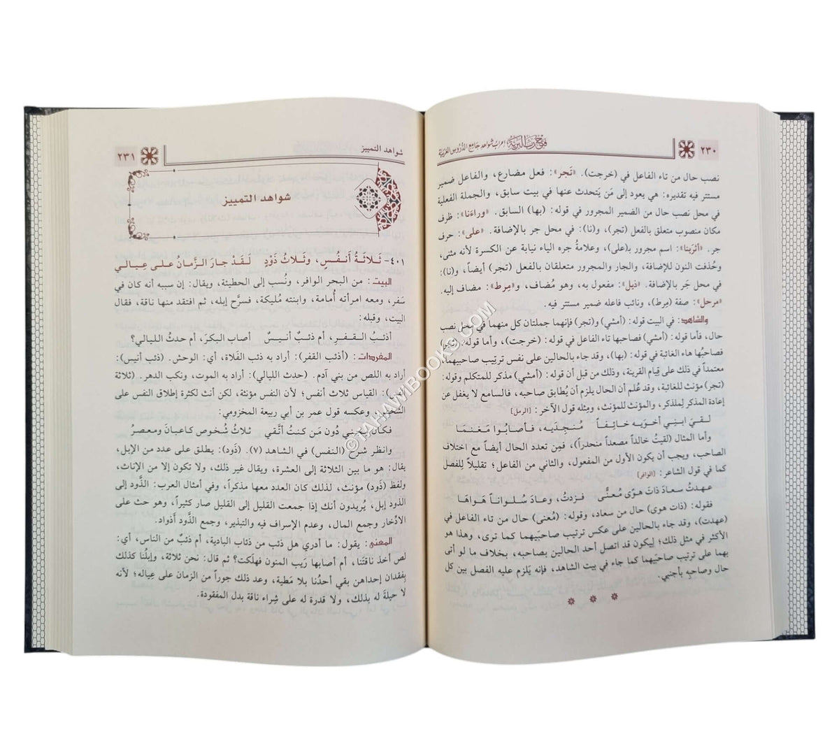 فتح رب البرية إعراب شواهد جامع الدروس العربية