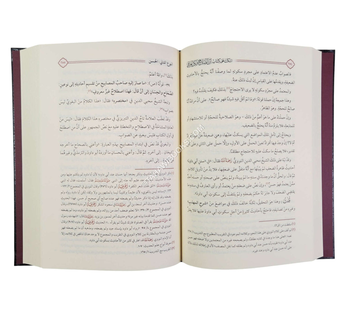 النكت على ابن الصلاح ونكت العراقي ت:ماهر الفحل-دار الحديث