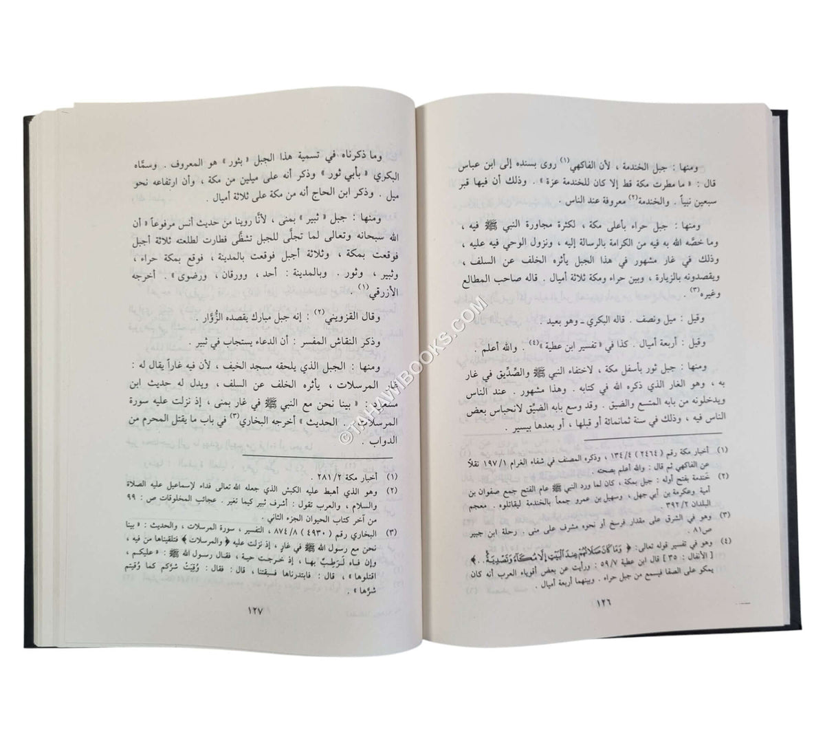 الزهور المقتطفة من تاريخ مكة المشرفة