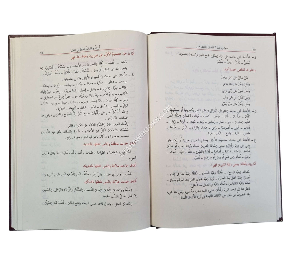 معجم عجائب اللغة