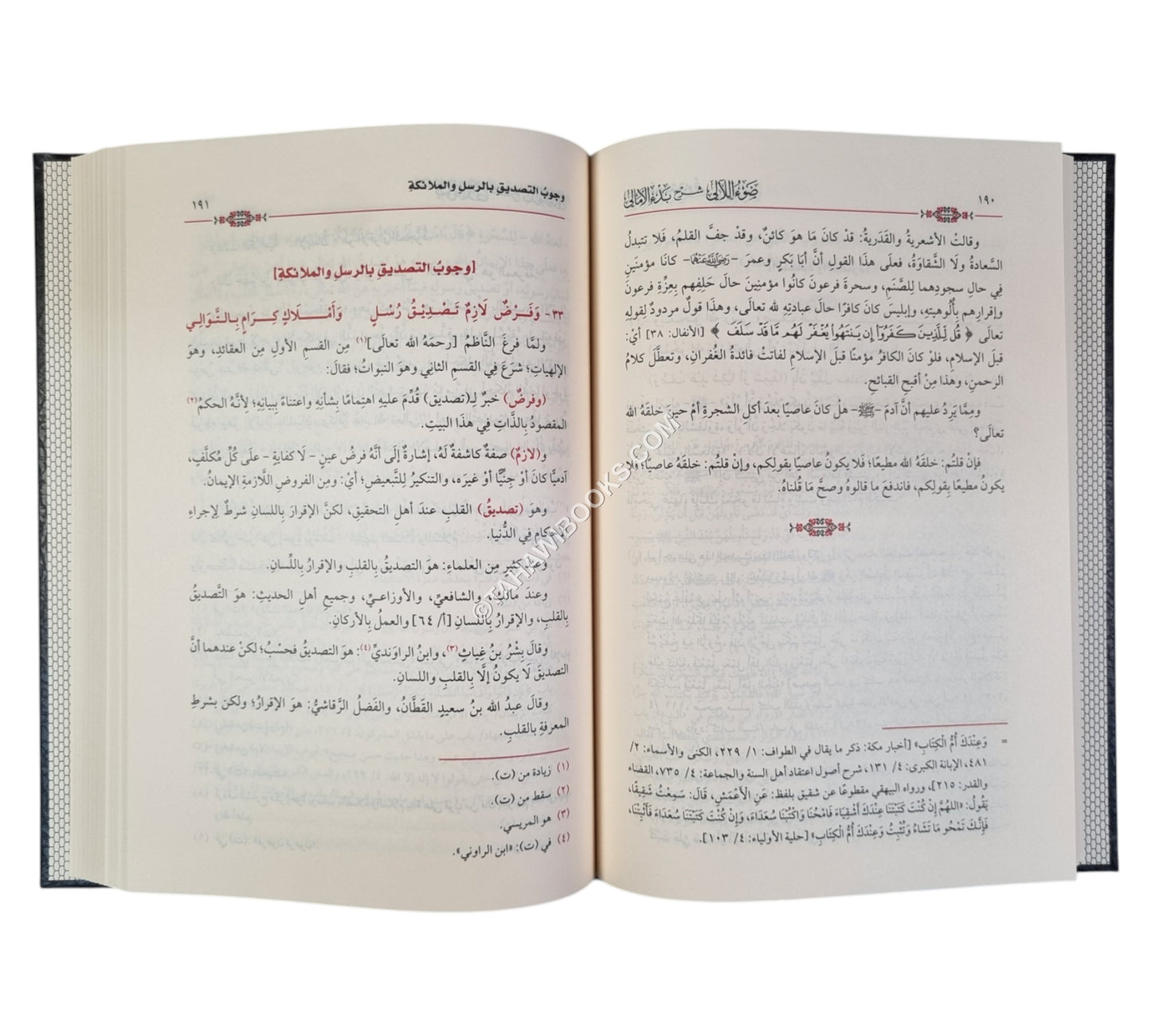 ضوء اللآلي شرح بدء الأمالي