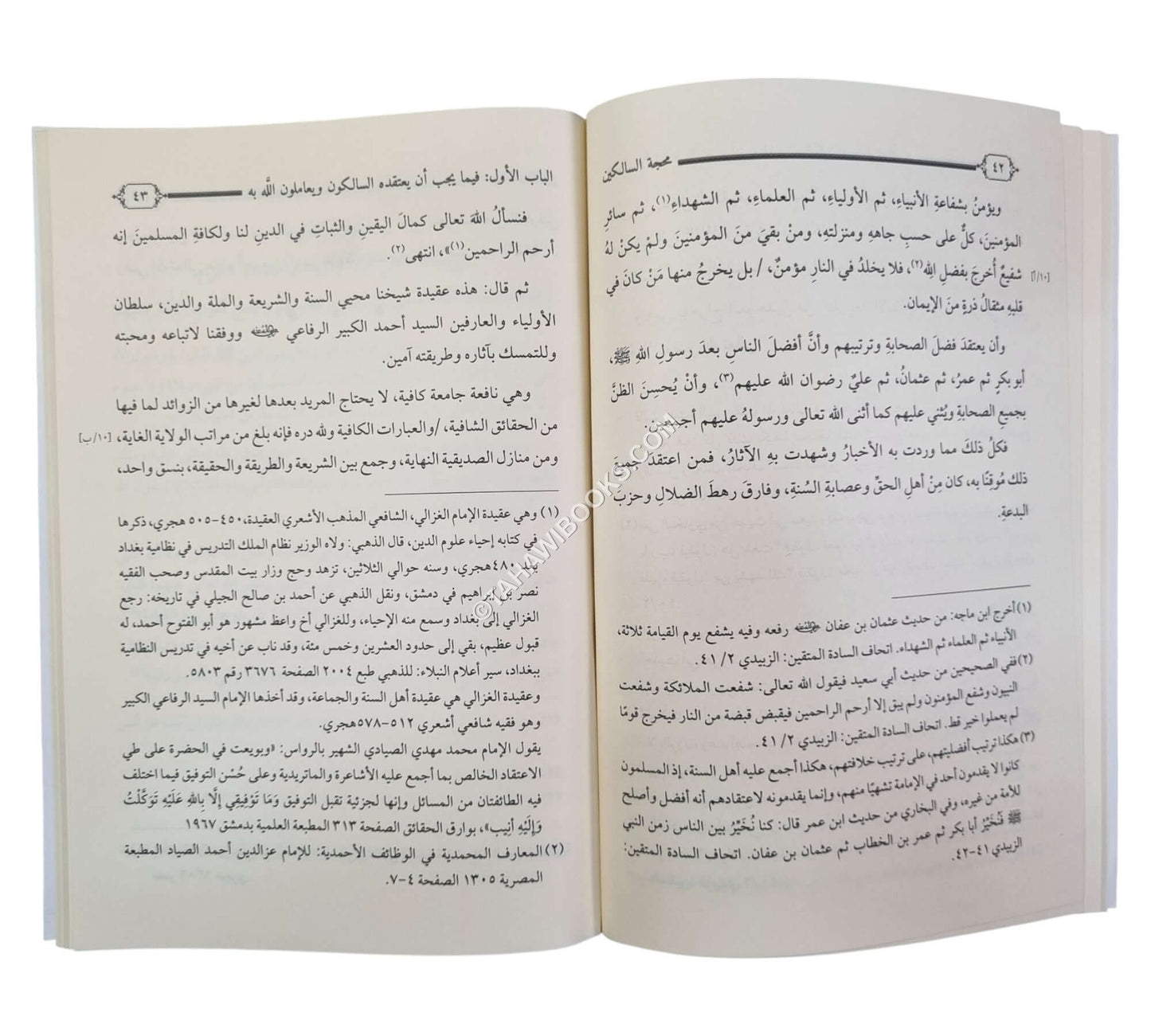 محجة السالكين
