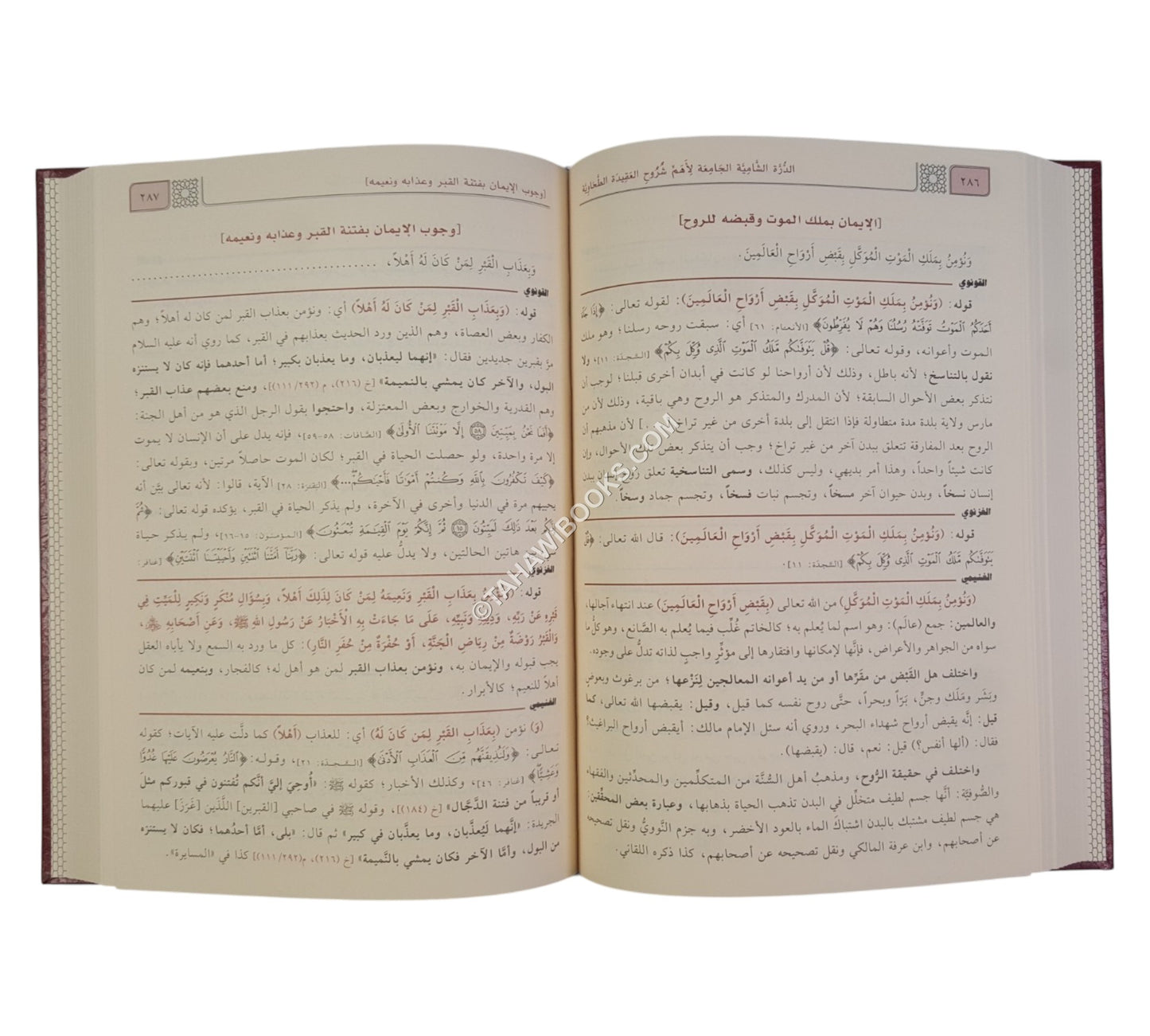 الدرة الشامية الجامعة لشروح العقيدة الطحاوية