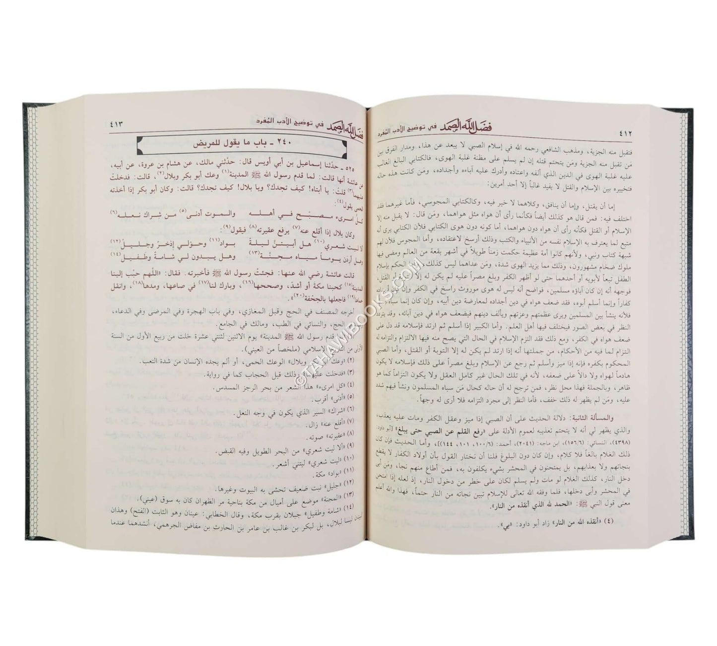فضل الله الصمد في توضيح الأدب المفرد-ابن حزم