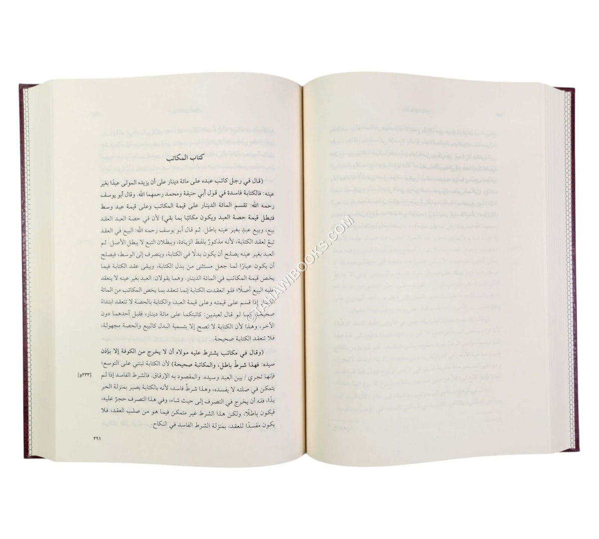 شرح الجامع الصغير للسرخسي