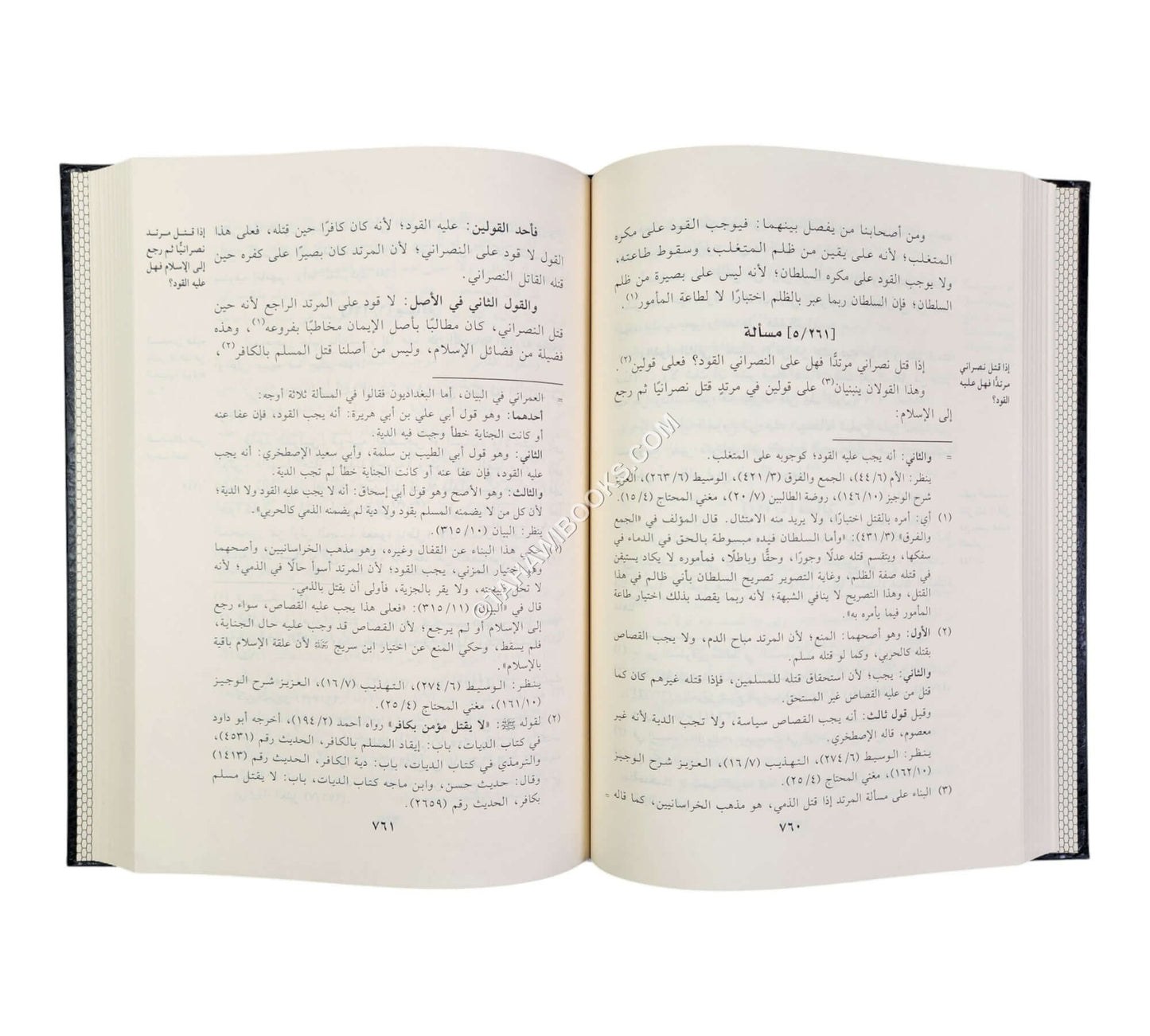 السلسلة في معرفة القولين والوجهين