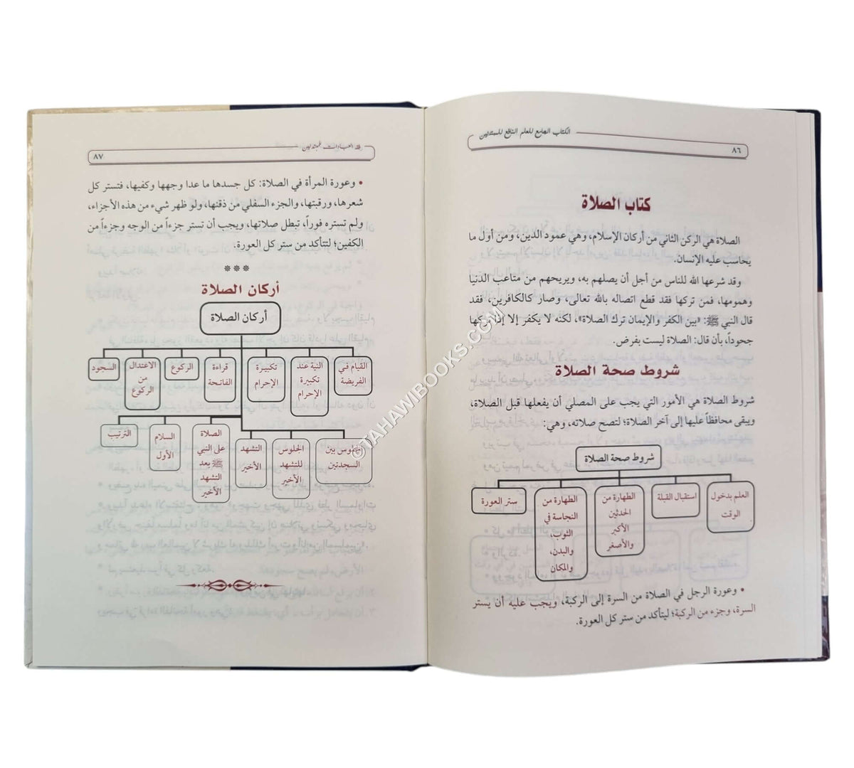 الكتاب الجامع للعلم النافع للمبتدئين