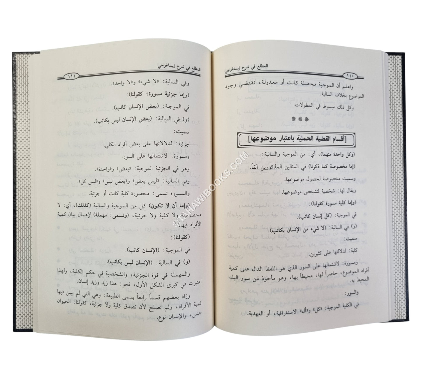 المطلع في شرح إيساغوجي في علم المنطق -ابن حزم