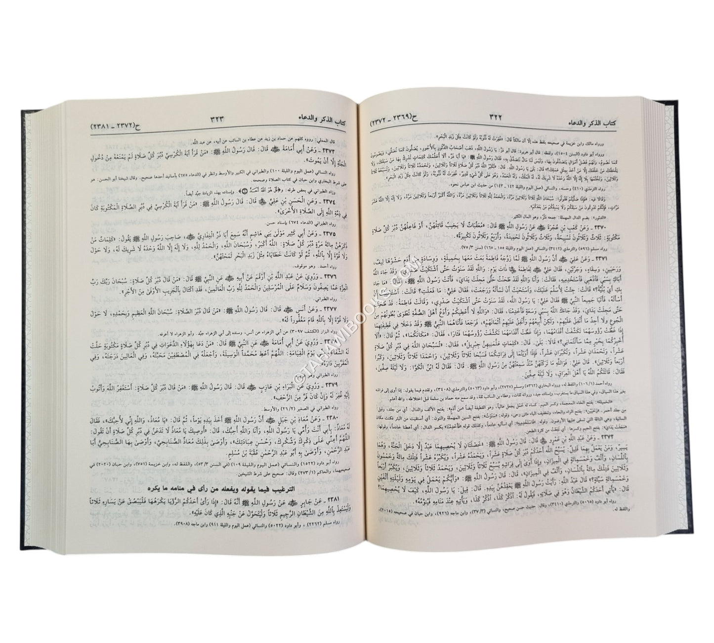 الترغيب والترهيب-ابن حزم-مجلد واحد