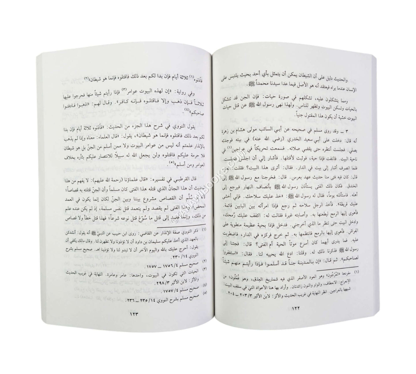 الجن في القرآن والسنة