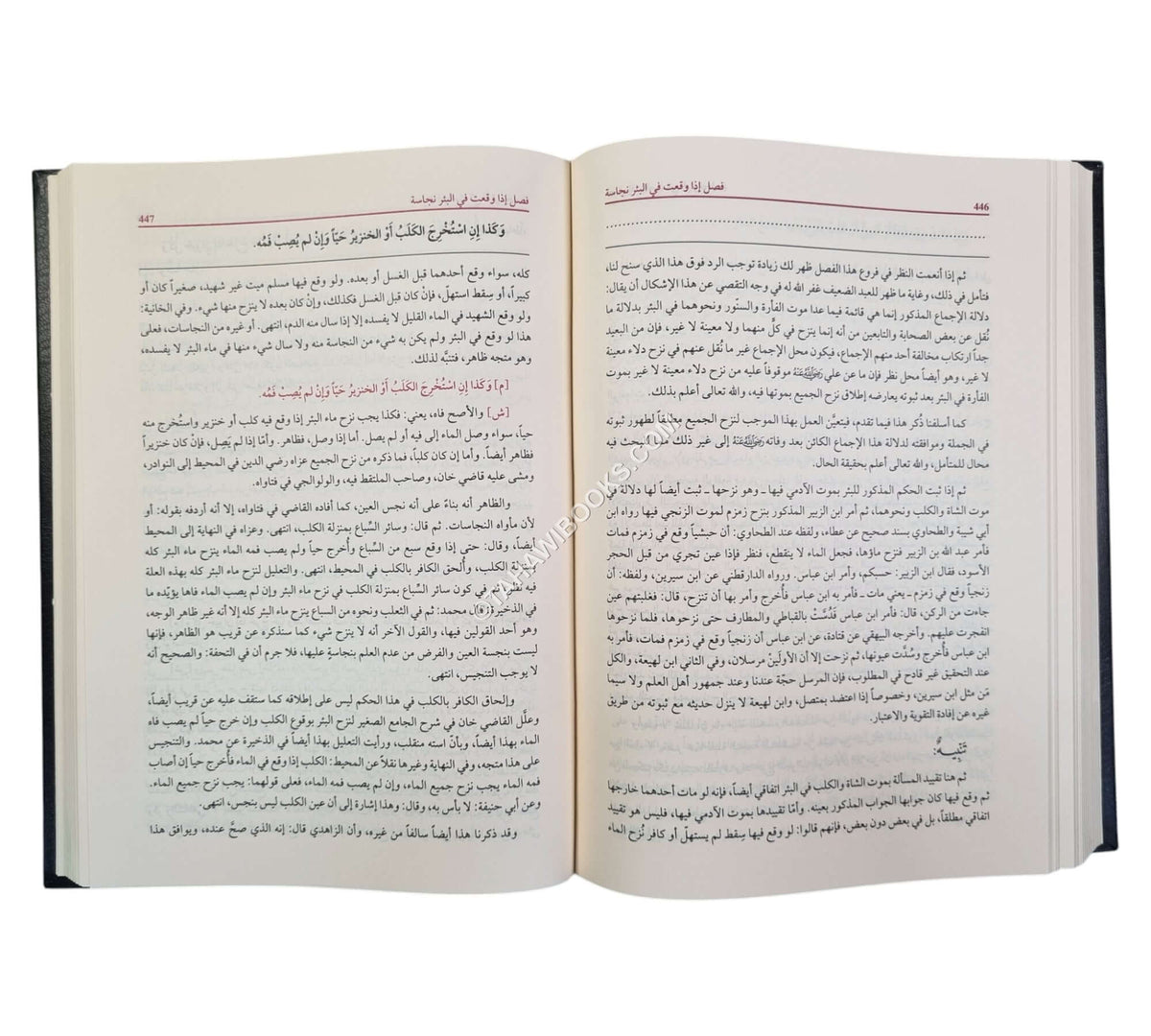 حلبة المجلي وبغية المهتدي في شرح منية المصلي للكاشغري