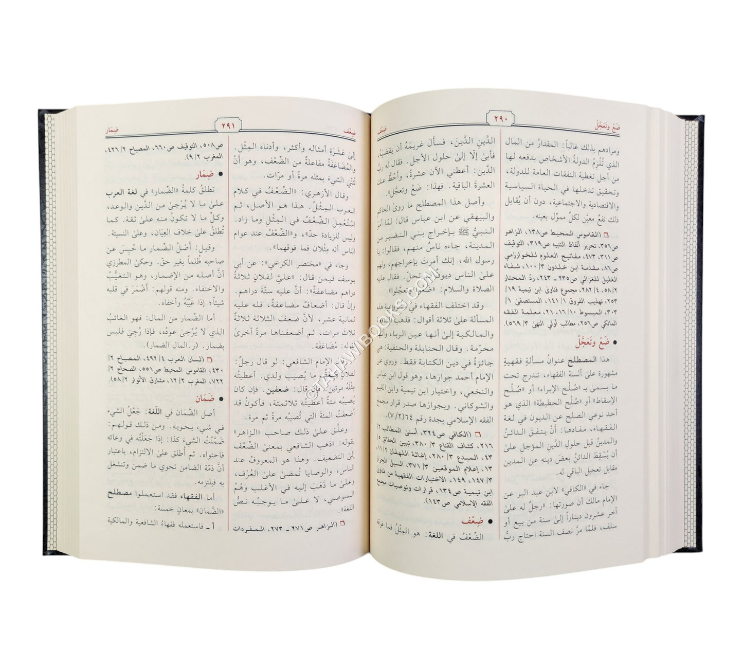 معجم المصطلحات المالية والاقتصادية
